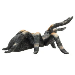 Besttoy Wildlife - Tarantel - Spielfigur 387213 -Trendiger Spielzeug-Discounter 225435 5031923872134 besttoy tarantel 01