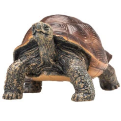 Besttoy - Riesenschildkröte - Spielfigur -Trendiger Spielzeug-Discounter 239255 5031923872592 moj besttoy riesenschildkrte 05